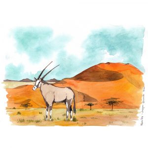 Namibia acuarela